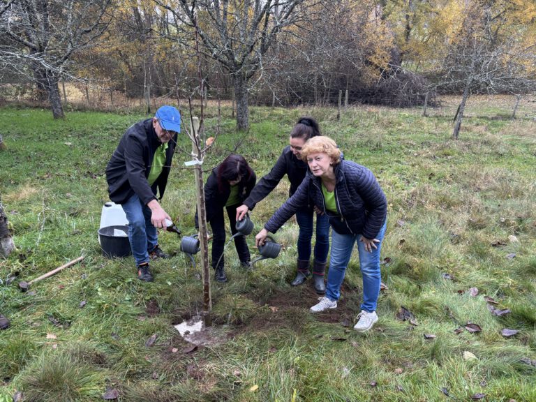 Von der Saite zum Klimaschutz